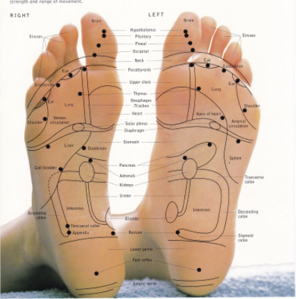 Online Study of Reflexology